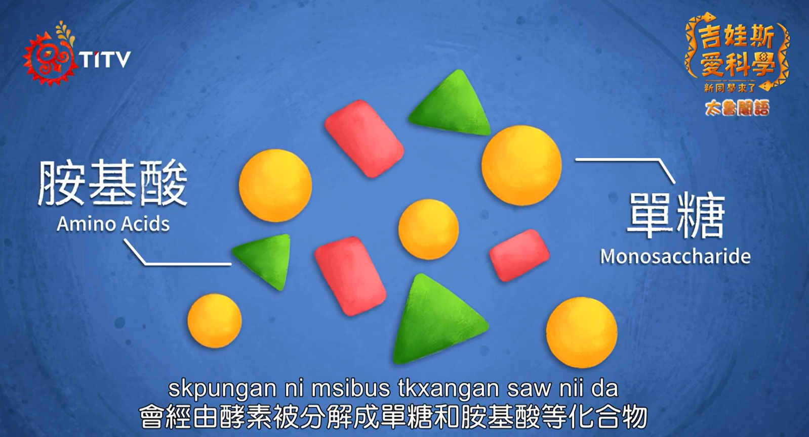 吉娃斯愛科學《肚皮飽與眼皮鬆》人體消化-太魯閣語