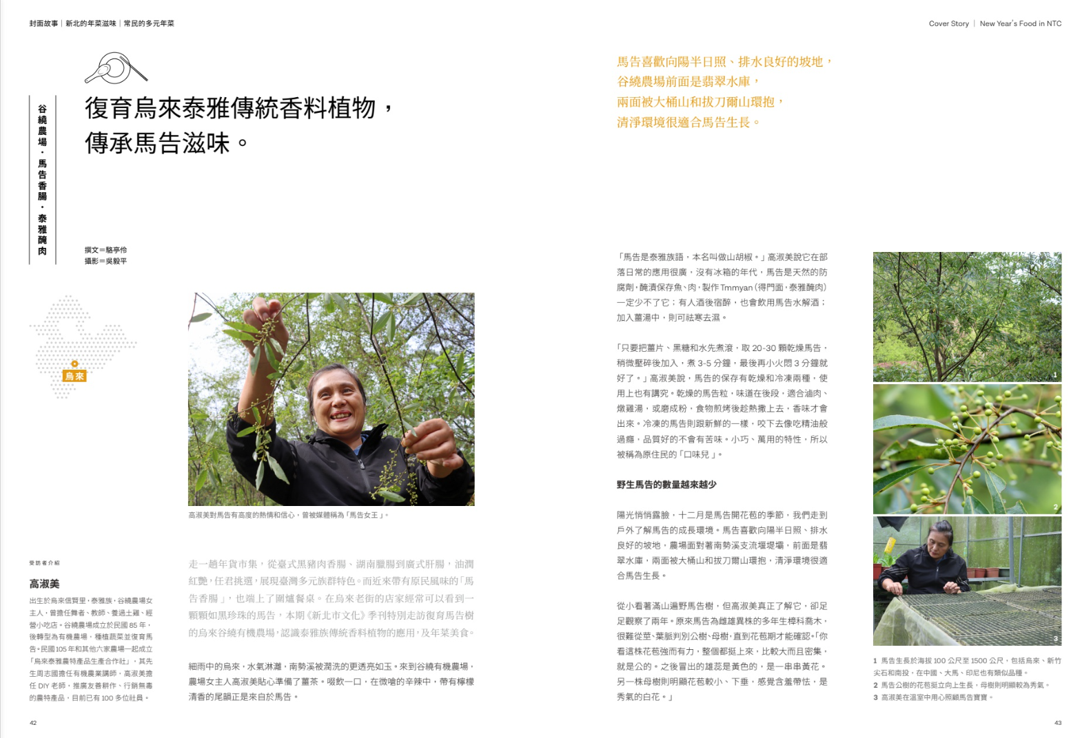 馬告香腸、泰雅醃肉　復育烏來泰雅傳統香料植物，傳承馬告滋味