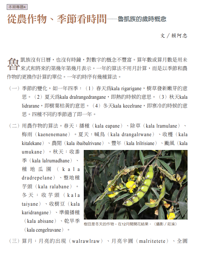 從農作物、季節看時間——魯凱族的歲時概念